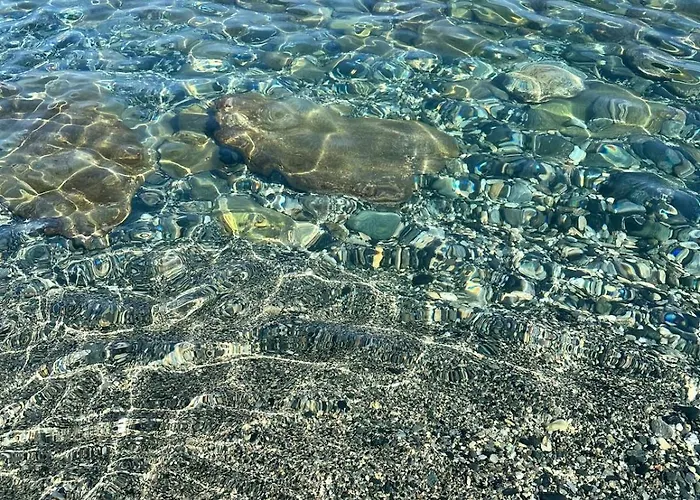 Il Nido Del Gabbiano 제노바